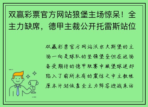 双赢彩票官方网站狼堡主场惊呆！全主力缺席，德甲主裁公开托雷斯站位指导 - 副本